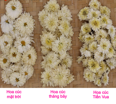 Kinh Nghiệm Chọn Trà Hoa Cúc - 4 Loại Trà Hoa Cúc Trắng Tốt Nhất Hiện Nay