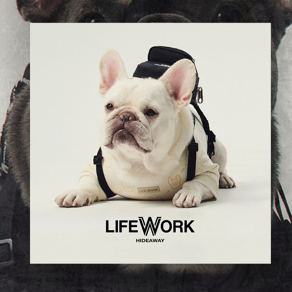 Lifework Là Thương Hiệu Của Nước Nào? Cách Phân Biệt Áo Lifework Thật Và Giả? Mua Sản Phẩm Lifework Chính Hãng Ở Đâu?