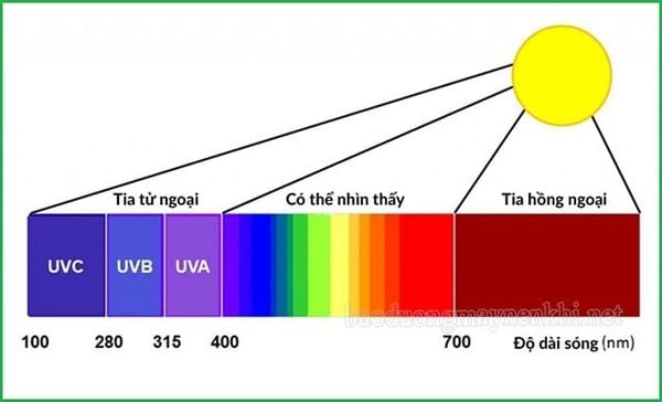 Thường xuyên tiếp xúc với tia UV là nguyên nhân chính gây ung thư da