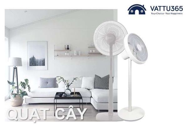 Quạt cây loại nào tốt? Ở đâu bán quạt cây?