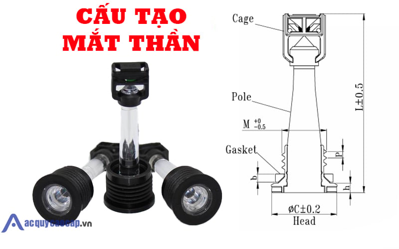 Cấu tạo mắt thần bình ắc quy