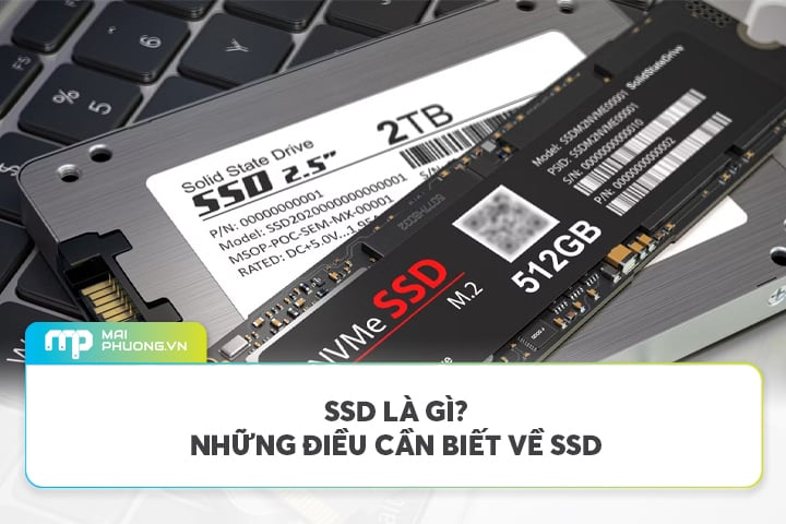 SSD Là Gì? Chọn SSD nào trong năm 2025