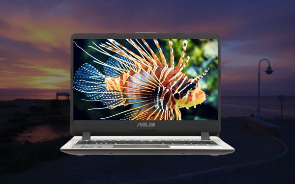 Laptop ASUS VivoBook X407UA-BV489T