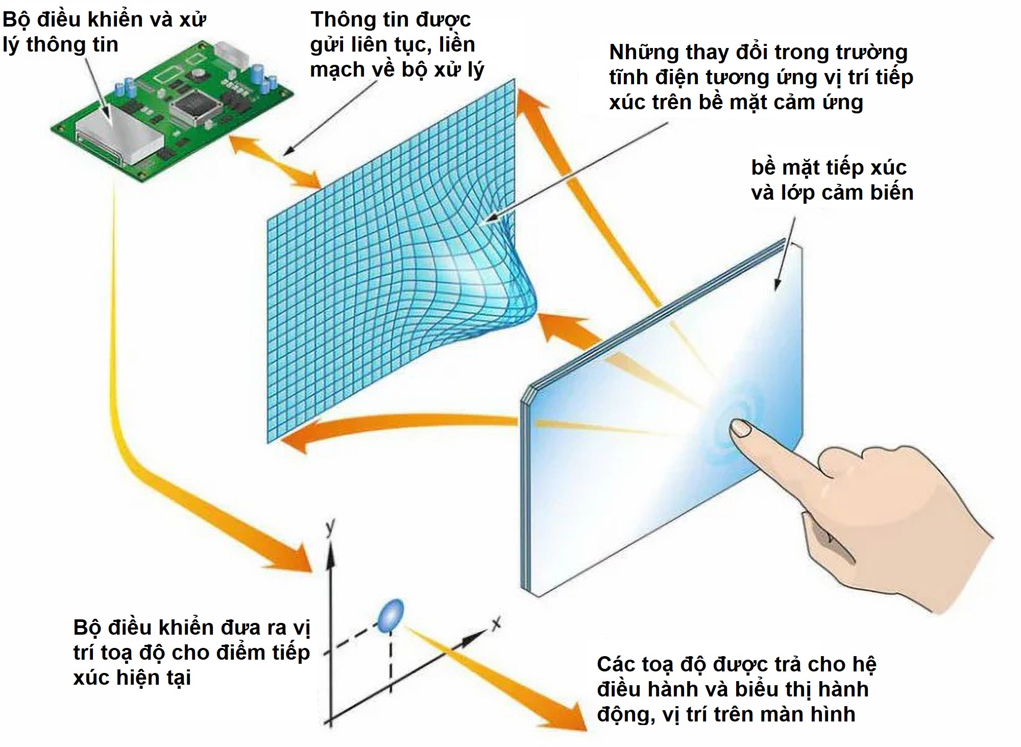 Touchpad, trackpad là gì? những tính năng hữu ích của touchpad.