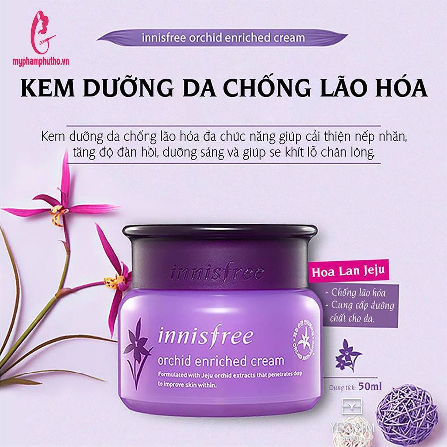 Kem Dưỡng Innisfree Jeju Orchid Enriched Hoa Lan Tím Chống Lão Hóa