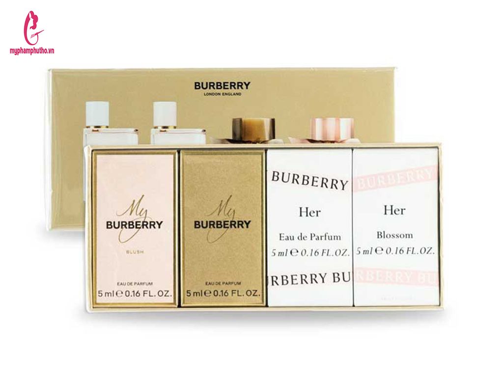 Dây lưng nam BurBerry DLB01 - LOUIS KIMMI STORE