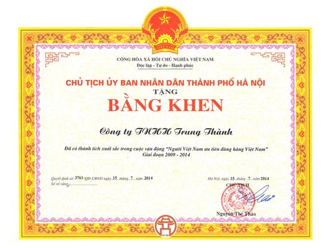 TrungThành nhận giải thưởng tại Lễ tổng kết Người Việt Nam ưu tiên dùng hàng Việt Nam