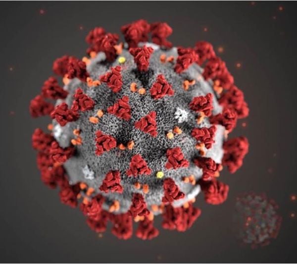 Khi virus Corona trở thành nhà sản xuất âm nhạc