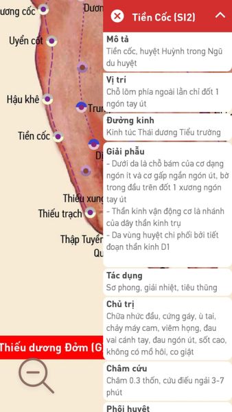 Bấm huyệt chữa ù tai