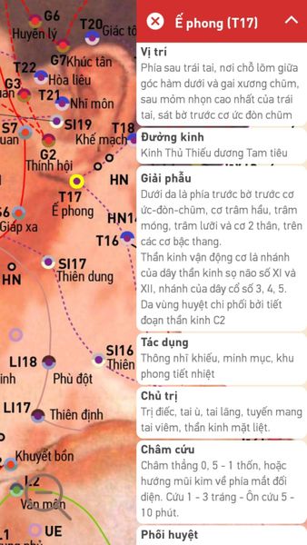 Bấm huyệt chữa ù tai