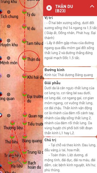 Bấm huyệt chữa ù tai