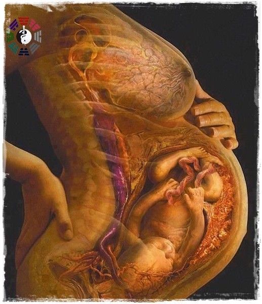 Đau cột sống khi mang thai