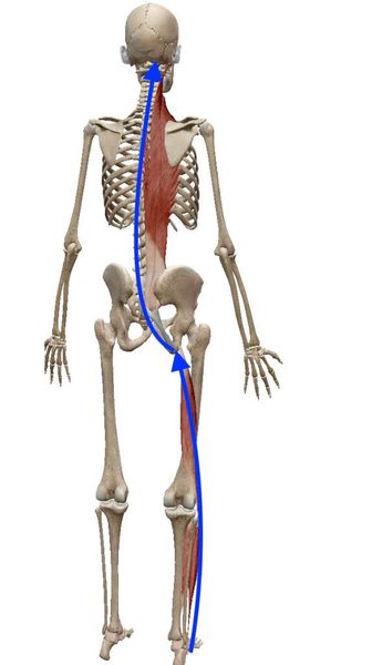 9 biểu hiện sai lệch cơ thể