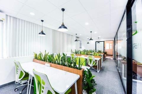 Green Hub, giải pháp văn phòng siêu tiết kiệm cho start-up Việt