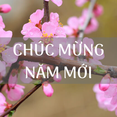 vove chuc mung nam moi 2024