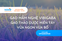 gao mam nghe vibigaba gao thao duoc mien tay vua ngon vua bo