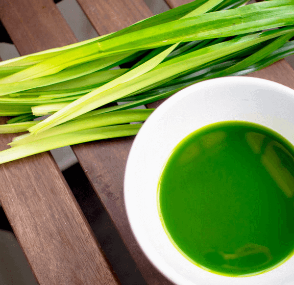 Cơm nấu lá dứa