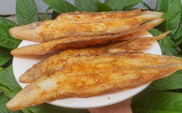 cá lưỡi trâu