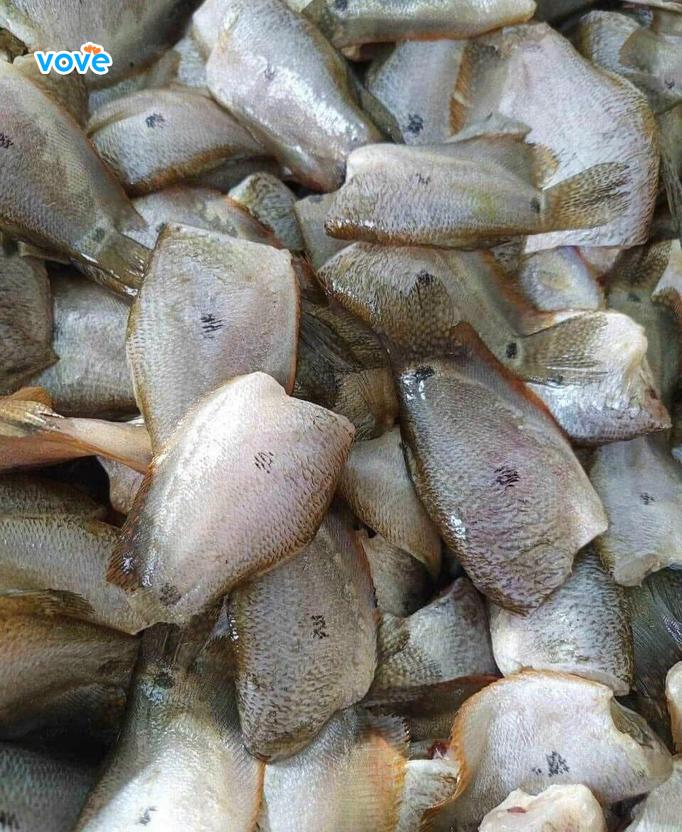 cá sặc là biểu tượng bửa cơm của miền tây