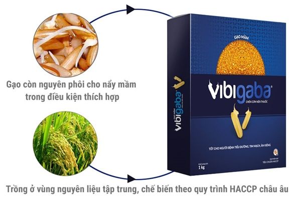 Quy trình sản xuất gạo mầm Vibigaba