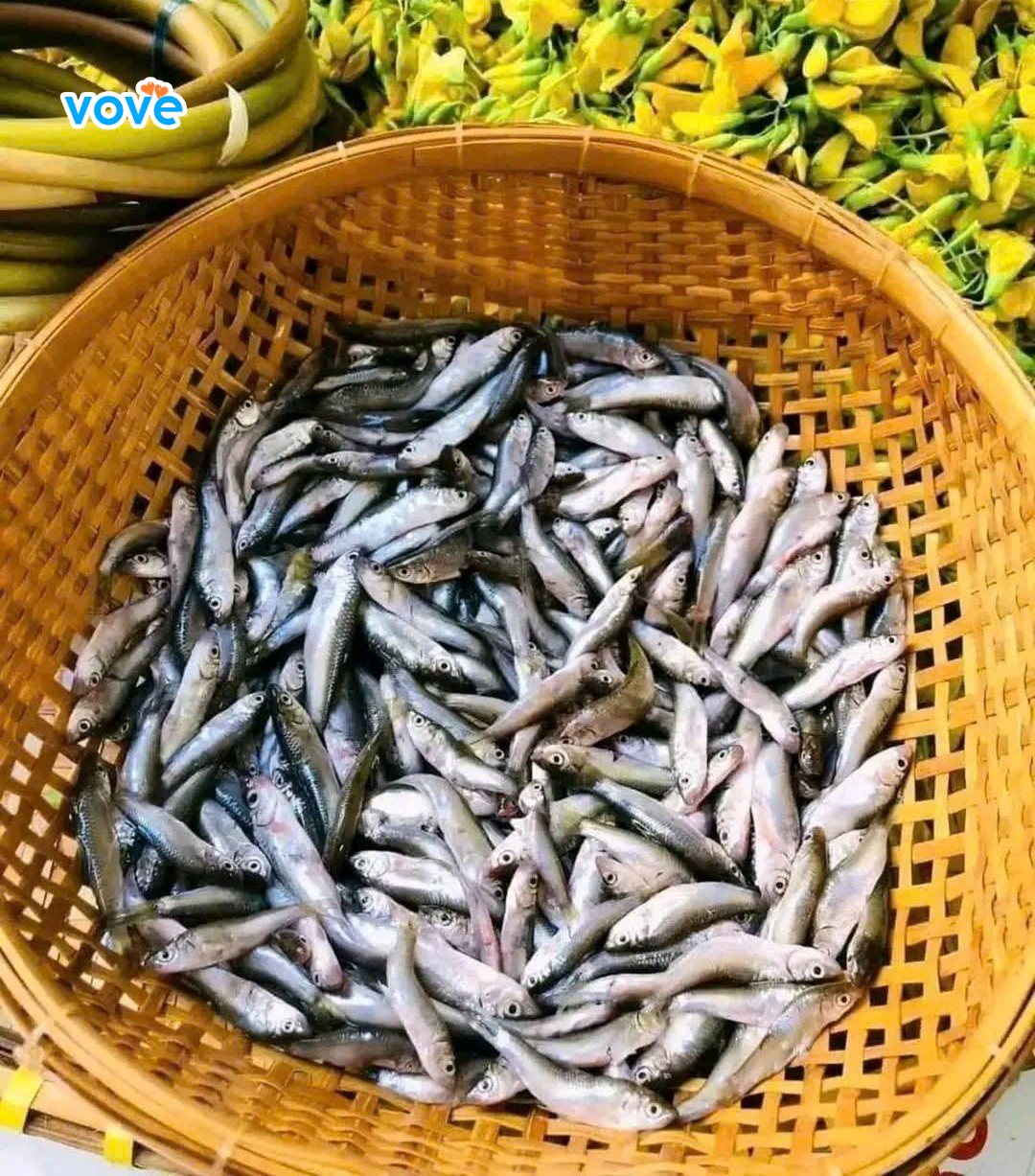 làm sạch và sơ chế trước khi làm mắm đu đủ cá linh
