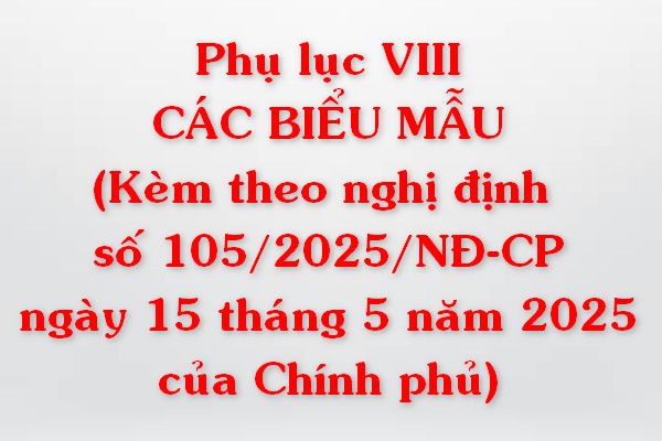 Phụ lục VIII: CÁC BIỂU MẪU (Kèm theo Nghị định số 105/2025/NĐ-CP ngày 15 tháng 5 năm 2025 của Chính phủ)