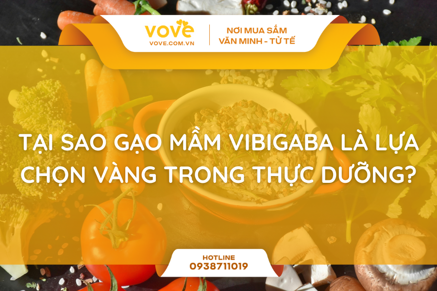 Tại Sao Gạo Mầm Vibigaba Là Lựa Chọn Vàng Trong Thực Dưỡng?