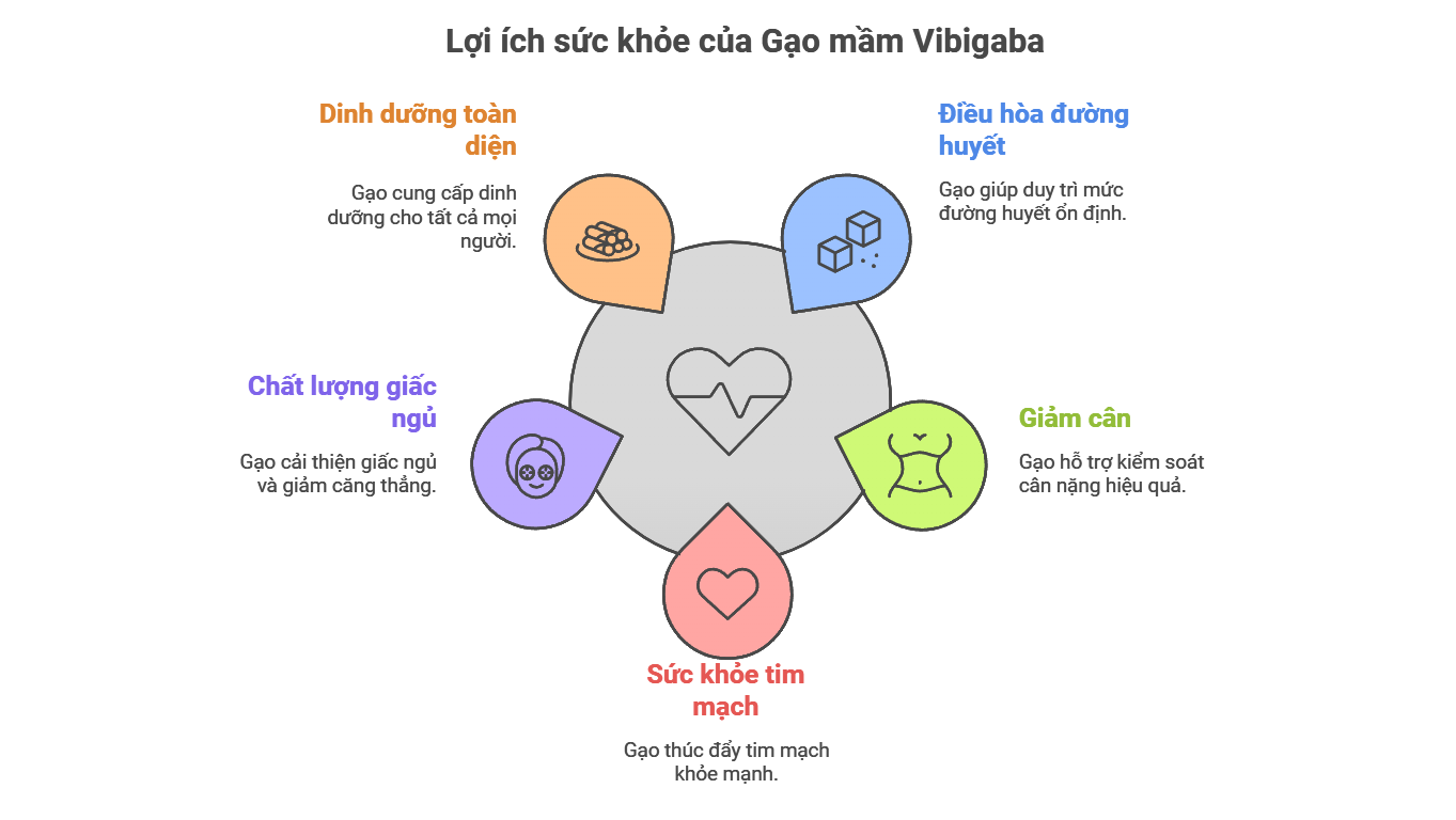 5 Lợi ích Vàng Của Gạo Mầm Vibigaba Đối Với Sức Khỏe