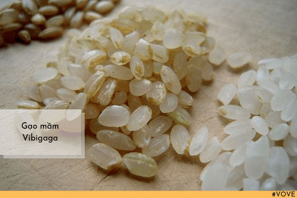 Tìm hiểu về gạo mầm Vibigaba