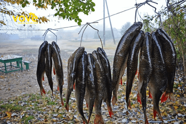 Cách chọn cá khô Astrakhan Nga tươi ngon đơn giản