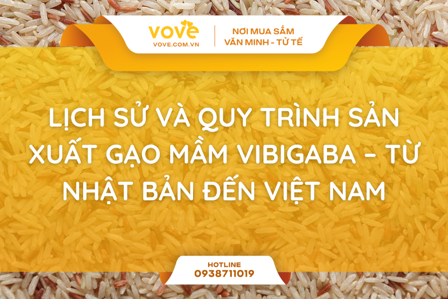 Lịch Sử Và Quy Trình Sản Xuất Gạo Mầm Vibigaba – Từ Nhật Bản Đến Việt Nam