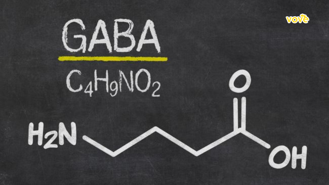 chất gaba trong gạo mầm rất tốt cho sức khỏe thần kinh