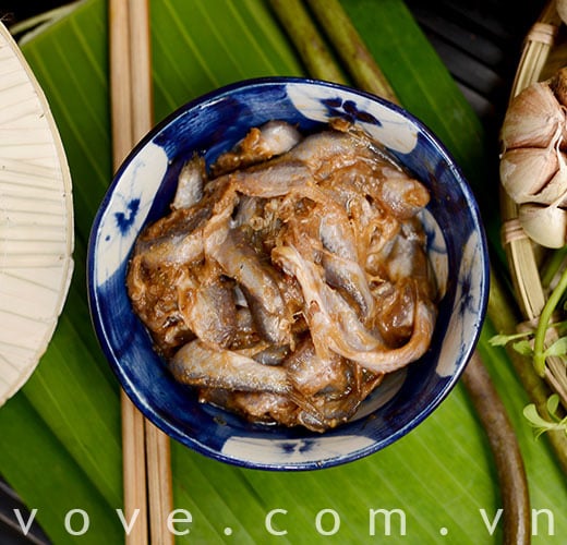 mắm cá linh hiệu bà giáo khỏe 55555
