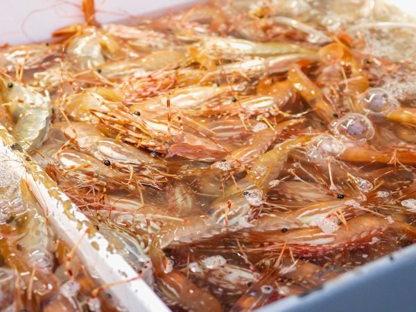 Bánh phồng tôm Quãng Trân Sóc Trăng