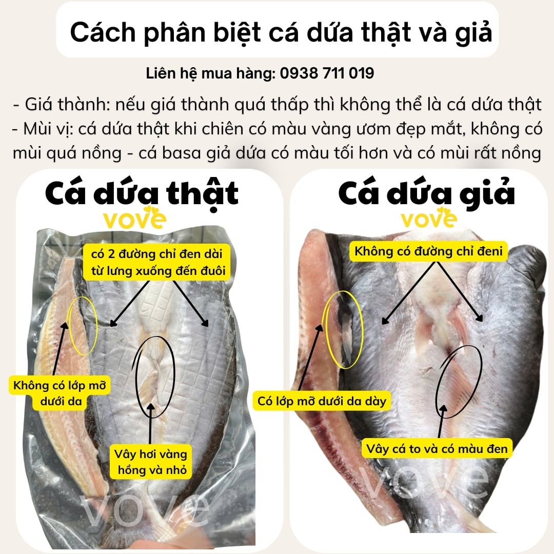 vove hướng dẫn bạn cách phân biệt khô cá dứa thật và giả