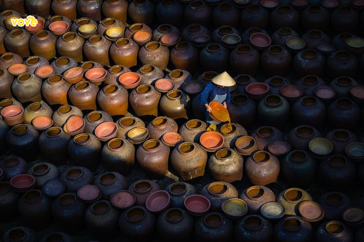 quy trình sản xuất mắm cá sửu tại bà giáo khỏe