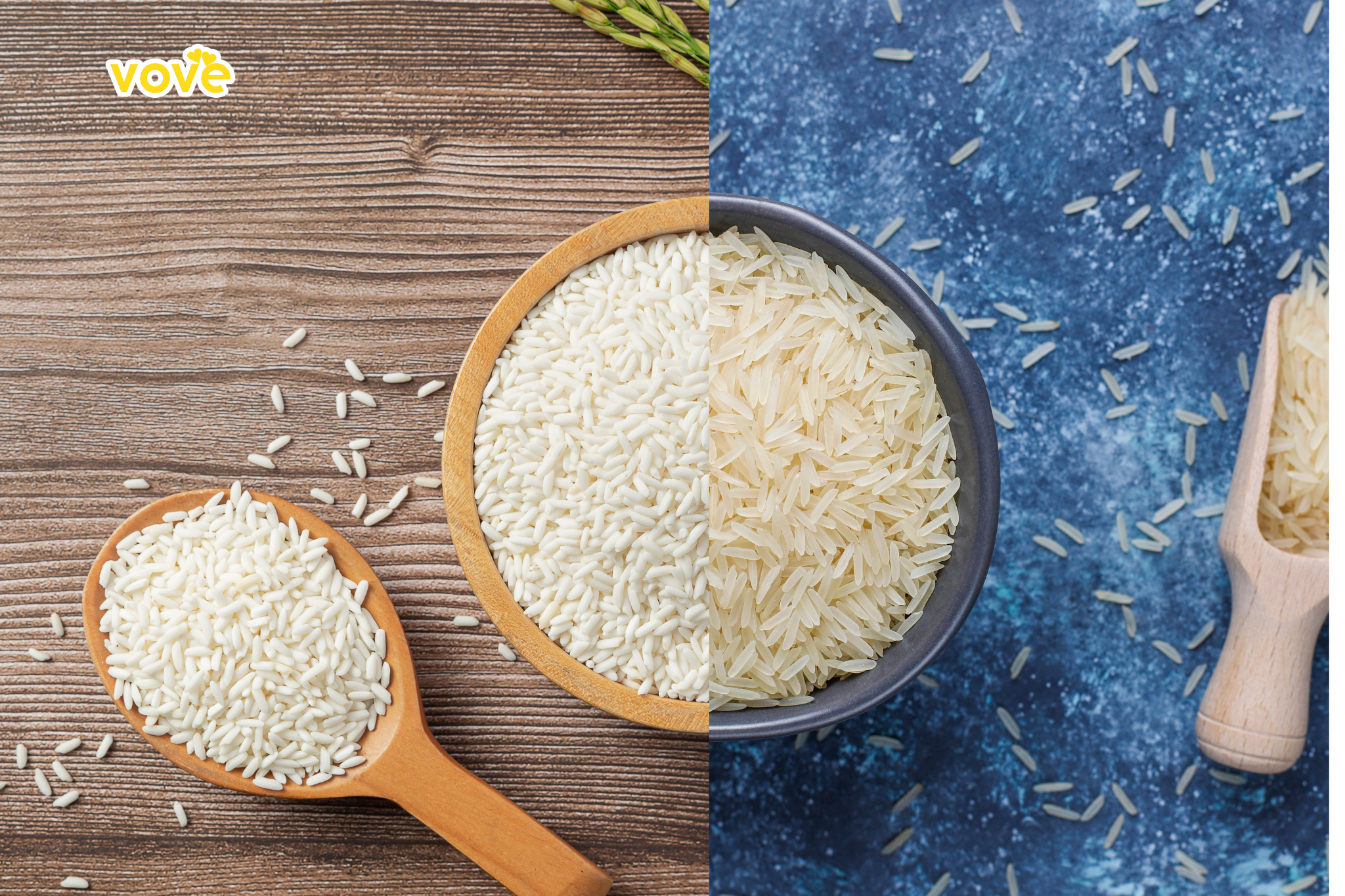 so sánh gạo basmati và gạo trắng thông thường