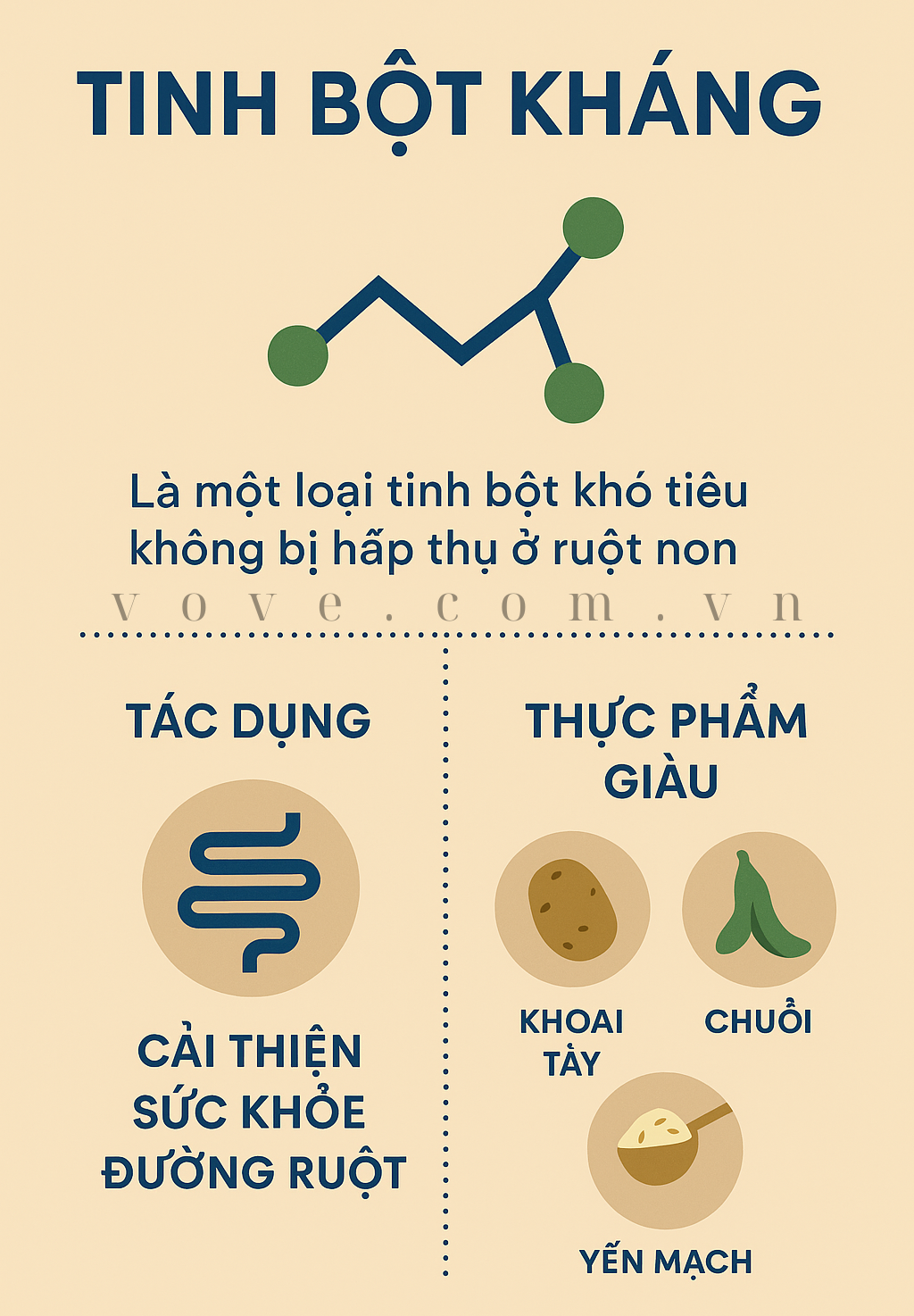 tinh bột khoáng là gì và nó giúp gì cho đường ruột