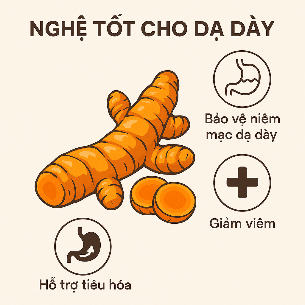 Tinh bột nghệ Curcumin trong gạo mầm nghệ Vibigaba tốt cho tiêu hóa