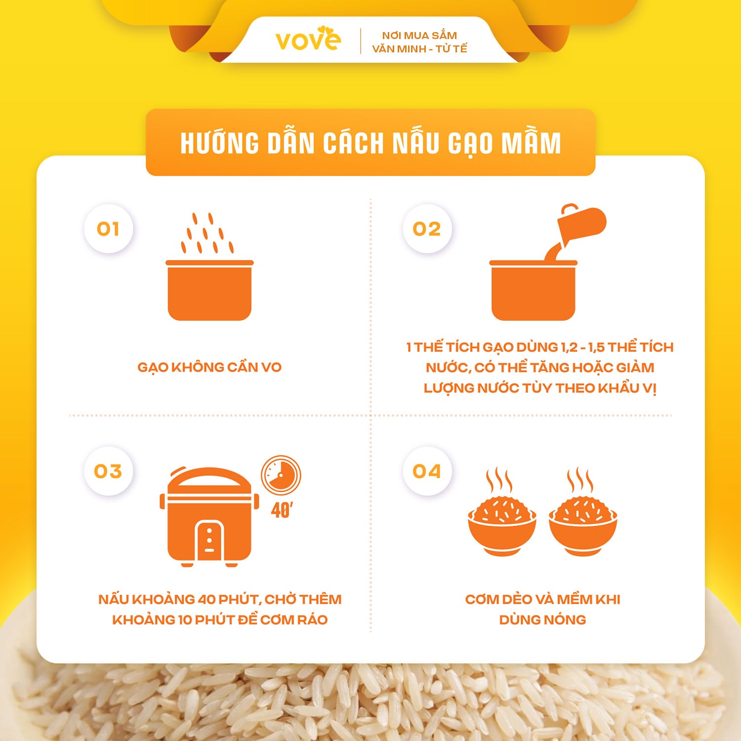 vove hướng đẫn bạn cách nấu gạo mầm