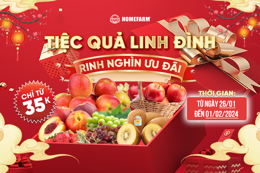 [HN-HP] Tiệc quả linh đình - Rinh nghìn deal đỉnh chỉ từ 35k