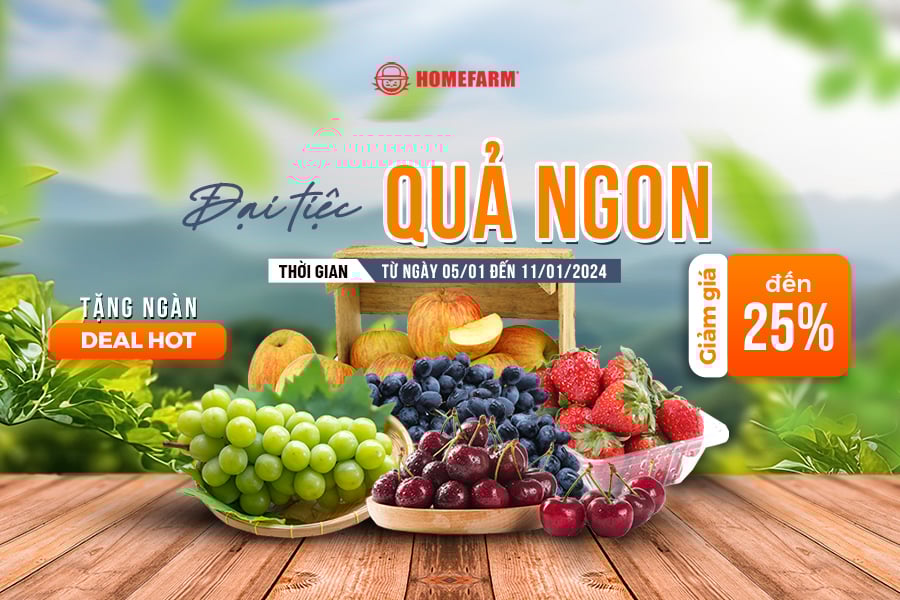 [HN-HP] Đãi tiệc quả ngon - Tặng ngàn deal hot giảm giá đến 25%