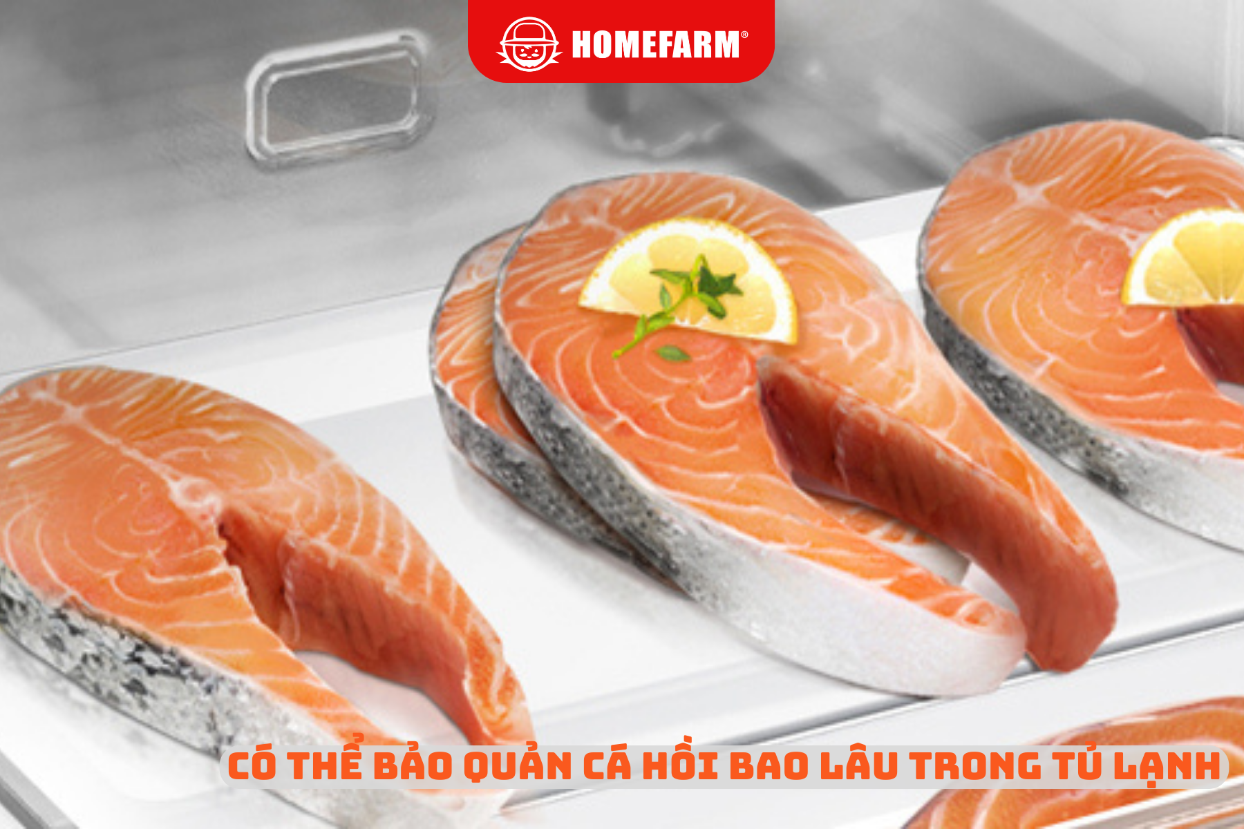 Cùng Homefarm tìm hiểu: Có thể bảo quản cá hồi bao lâu trong tủ lạnh
