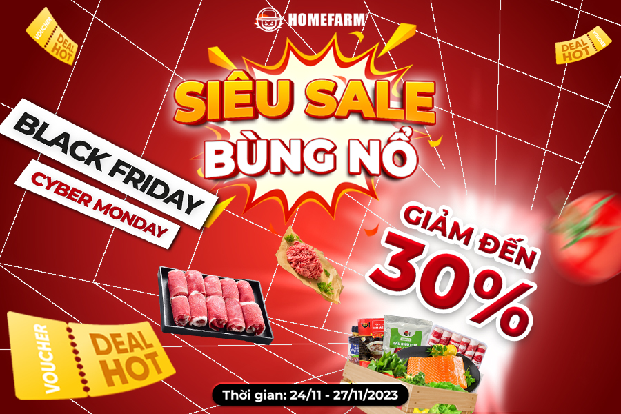 [HN-HP] Càn quét siêu sale bùng nổ Black friday & Cyber monday cùng Homefarm