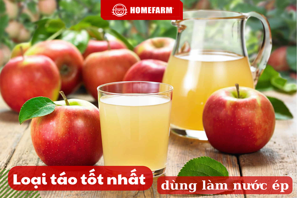 Homefarm mách bạn loại táo nào tốt nhất dùng làm nước ép