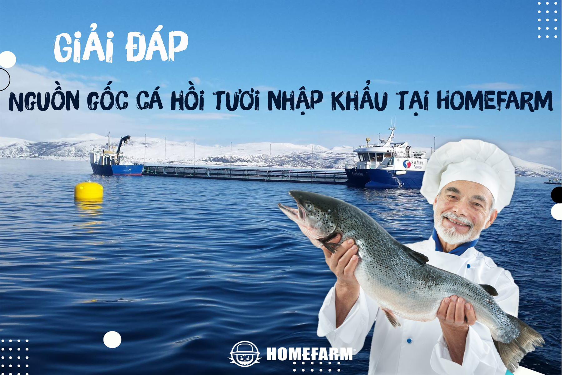 Giải đáp về nguồn gốc cá hồi tươi nhập khẩu tại Homefarm