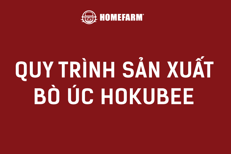 Quy trình sản xuất thịt bò Úc Hokubee tại Homefarm