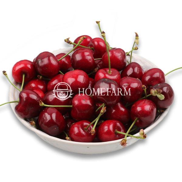 cherry-nhap-khau