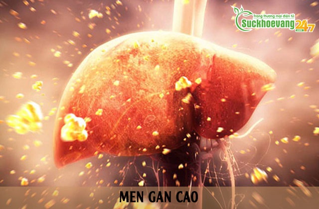Cảnh báo Men GAN cao - vì sao cần tránh, tác hại thế nào?