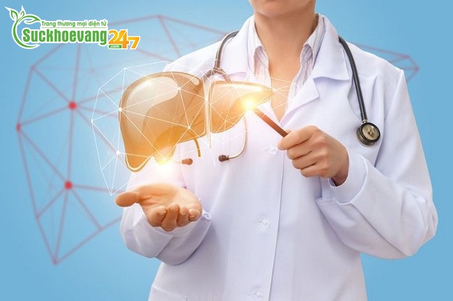 Chức năng của gan và những điều có thể bạn chưa biết